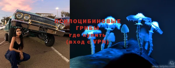 эйфоретик Бронницы