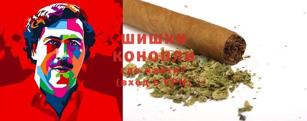 гашик Бородино