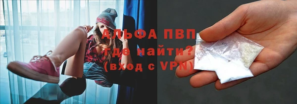 гашик Бородино