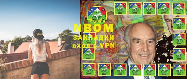 гашик Бородино