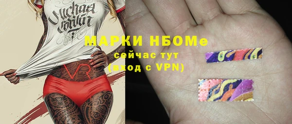 гашик Бородино