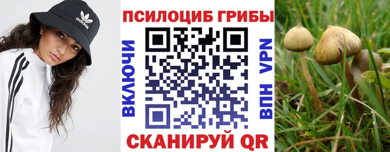 Галлюциногенные грибы Cubensis  МЕГА ТОР  Бородино  магазин  наркотиков 
